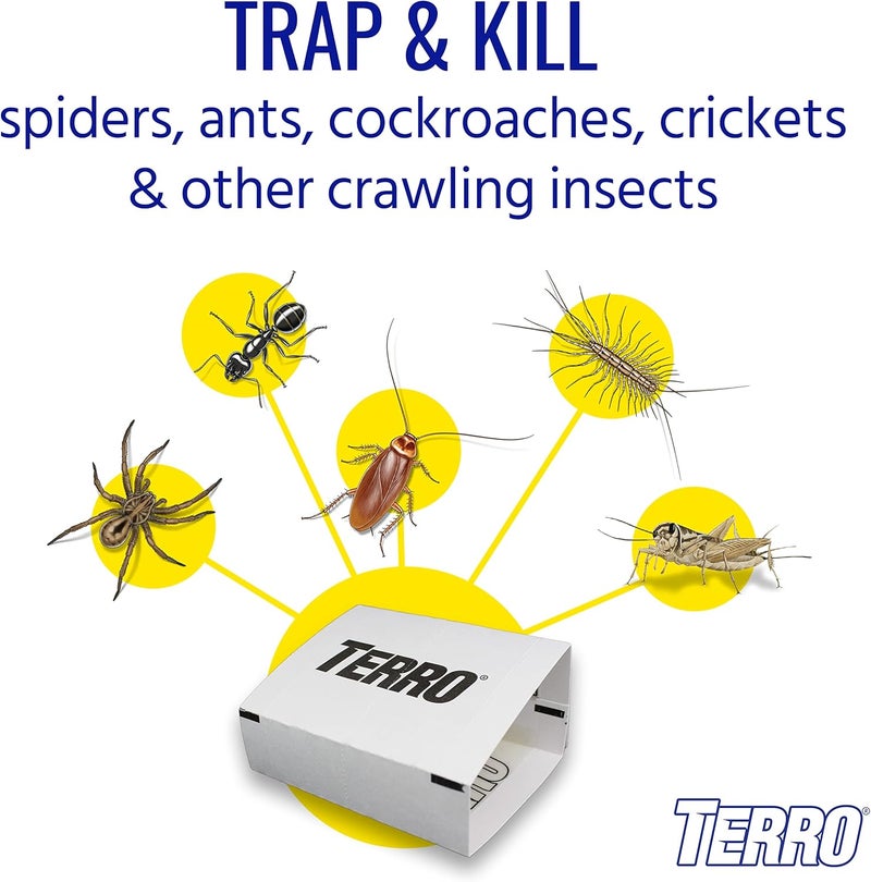 Terro Spider & Insect Trap T3206-10 - Pack of 10 Insect Traps - Image 2